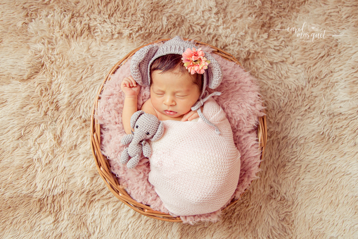newborn recém nascido irmãos menina princesa flores floresta jardim autismo elefante amigurumi chapeuzinho família Niterói Ensaio fotográfico
