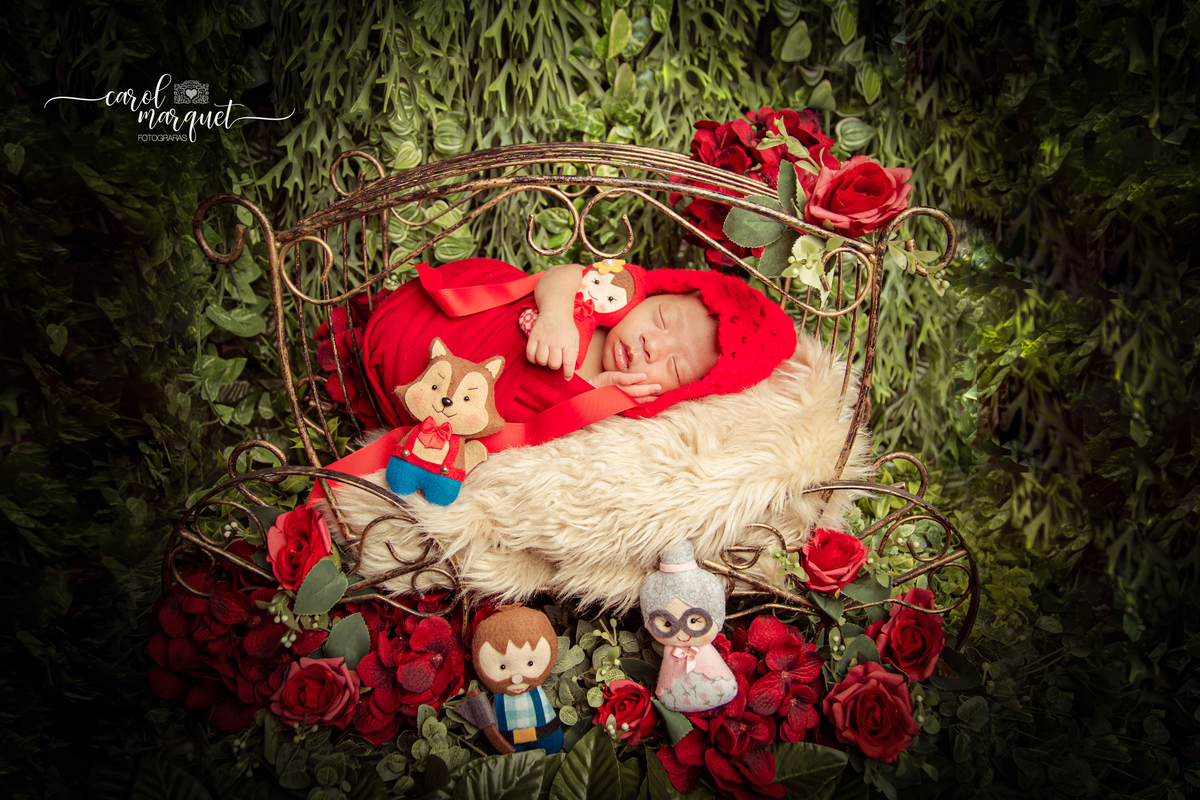 newborn recém nascido flor floresta jardim amigurumi chapeuzinho minions agnes unicórnio Niterói Rio de Janeiro Ensaio fotográfico fotografia