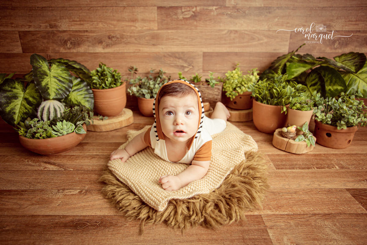 acompanhamento trimestral fotografia infantil retrato ensaio família príncipe floresta trem carrinho Niterói Rio de Janeiro