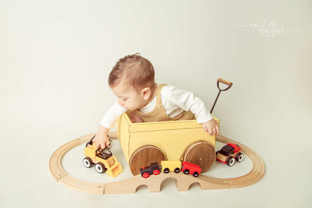 acompanhamento trimestral fotografia infantil retrato ensaio família príncipe floresta trem carrinho Niterói Rio de Janeiro