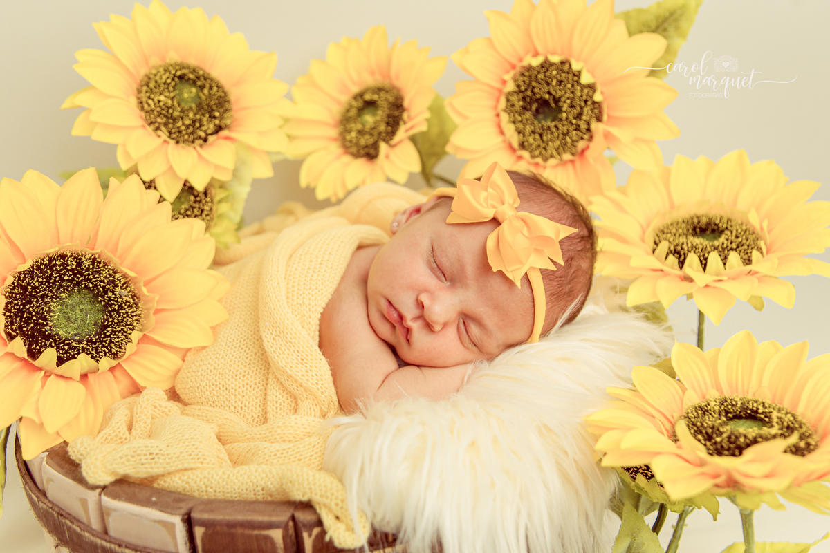 newborn recém nascido bebê neném criança Niterói Rio de Janeiro fotografia ensaio infantil domicílio família princesa alice no país das maravilhas jardim girassol floresta páscoa coelho