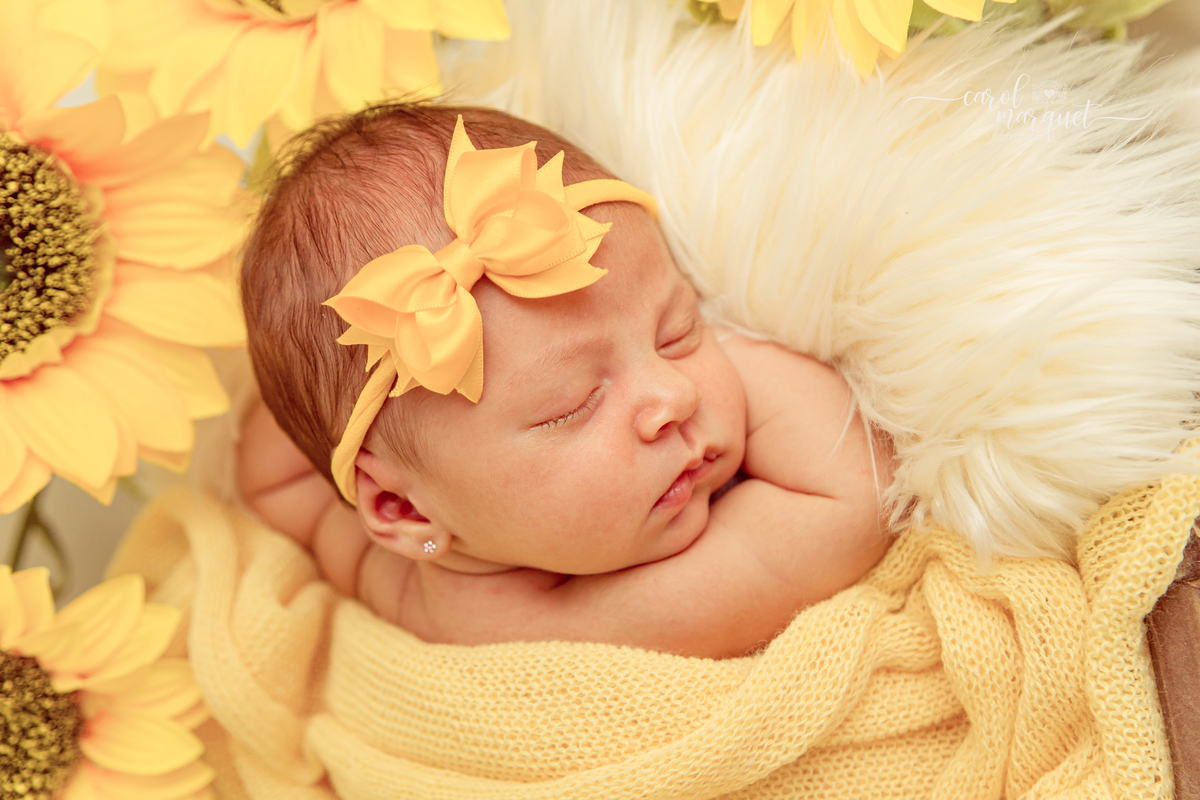 newborn recém nascido bebê neném criança Niterói Rio de Janeiro fotografia ensaio infantil domicílio família princesa alice no país das maravilhas jardim girassol floresta páscoa coelho