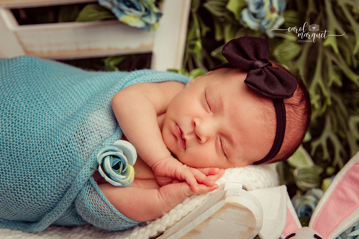 newborn recém nascido bebê neném criança Niterói Rio de Janeiro fotografia ensaio infantil domicílio família princesa alice no país das maravilhas jardim girassol floresta páscoa coelho