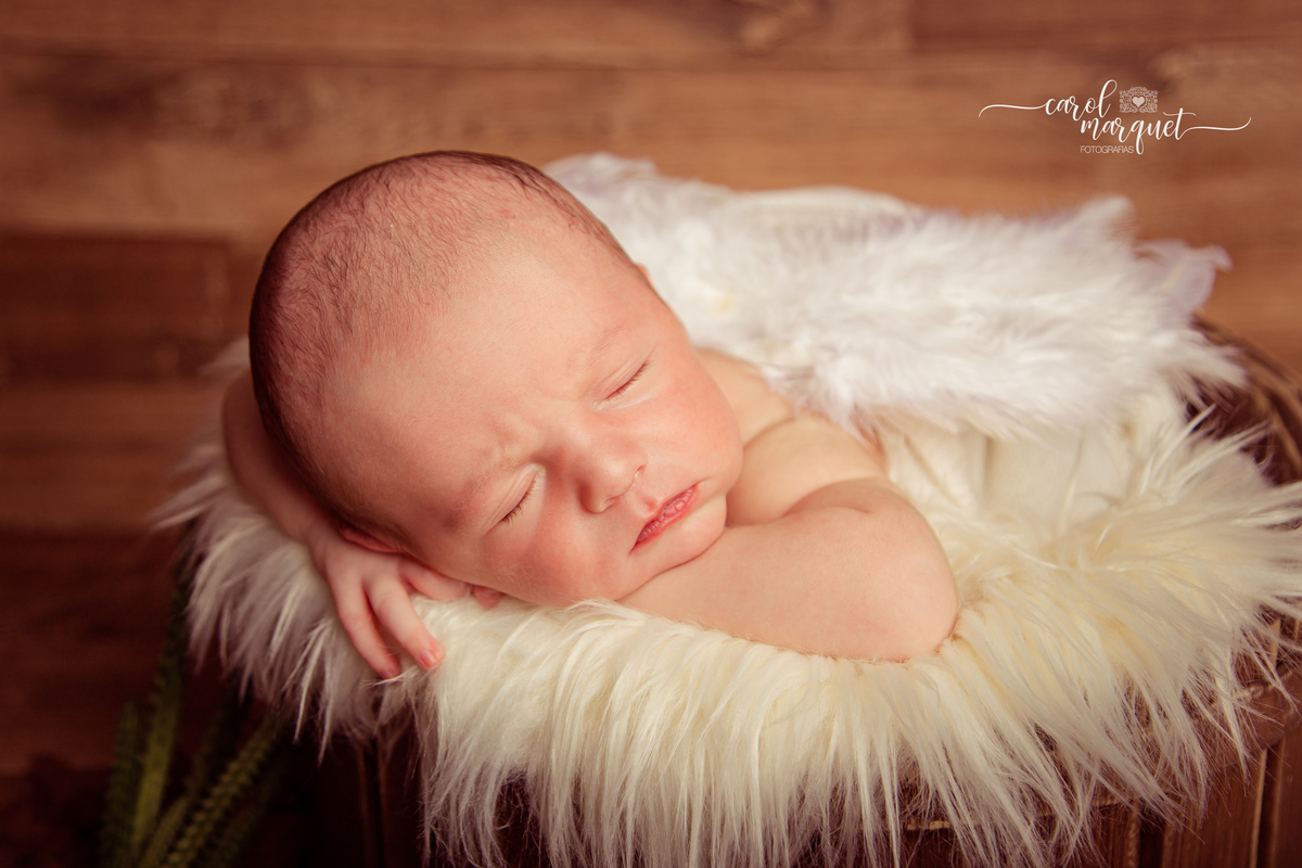 newborn recém nascido bebê neném Niterói Rio de Janeiro fotografia ensaio infantil família floresta natureza plantas mário bros anjo amor de irmão meninos filhos