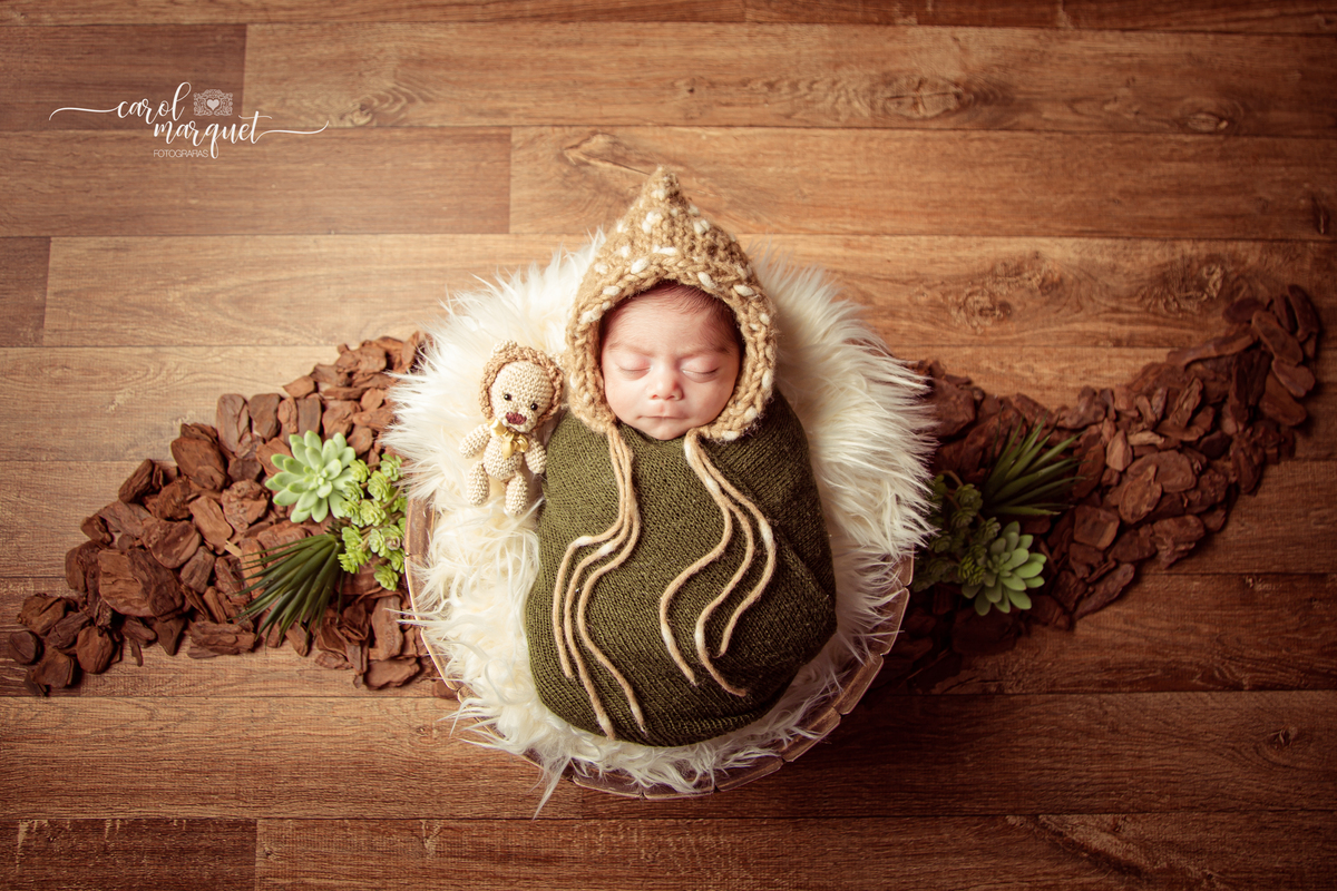 newborn recém nascido bebê neném fotografia família box ufc luta avião floresta plantas cacto roqueiro Niterói Rio de Janeiro