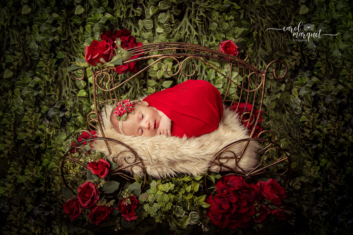 newborn recém nascido bebê neném flores jardim girassol rosas princesa irmã irmão família fotografia Niterói RJ