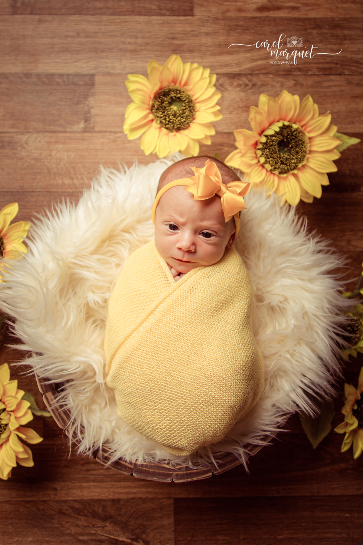 newborn recém nascido bebê neném flores jardim girassol rosas princesa irmã irmão família fotografia Niterói RJ