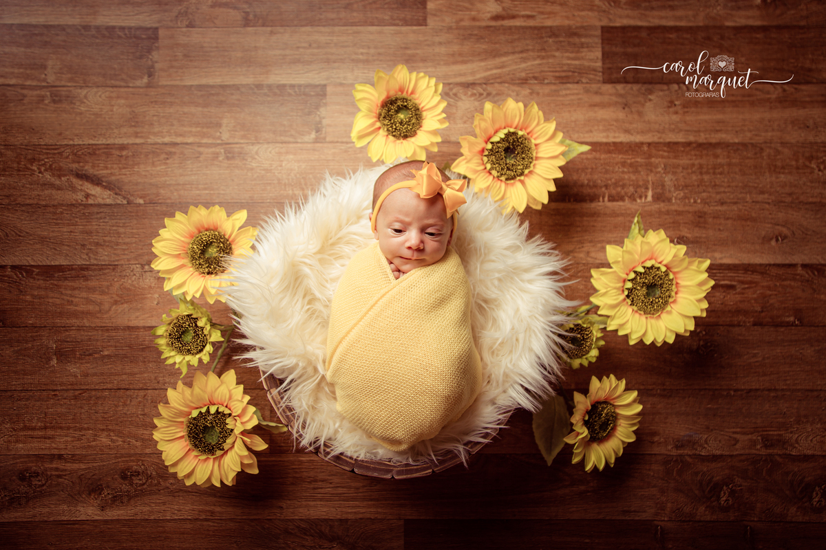 newborn recém nascido bebê neném flores jardim girassol rosas princesa irmã irmão família fotografia Niterói RJ