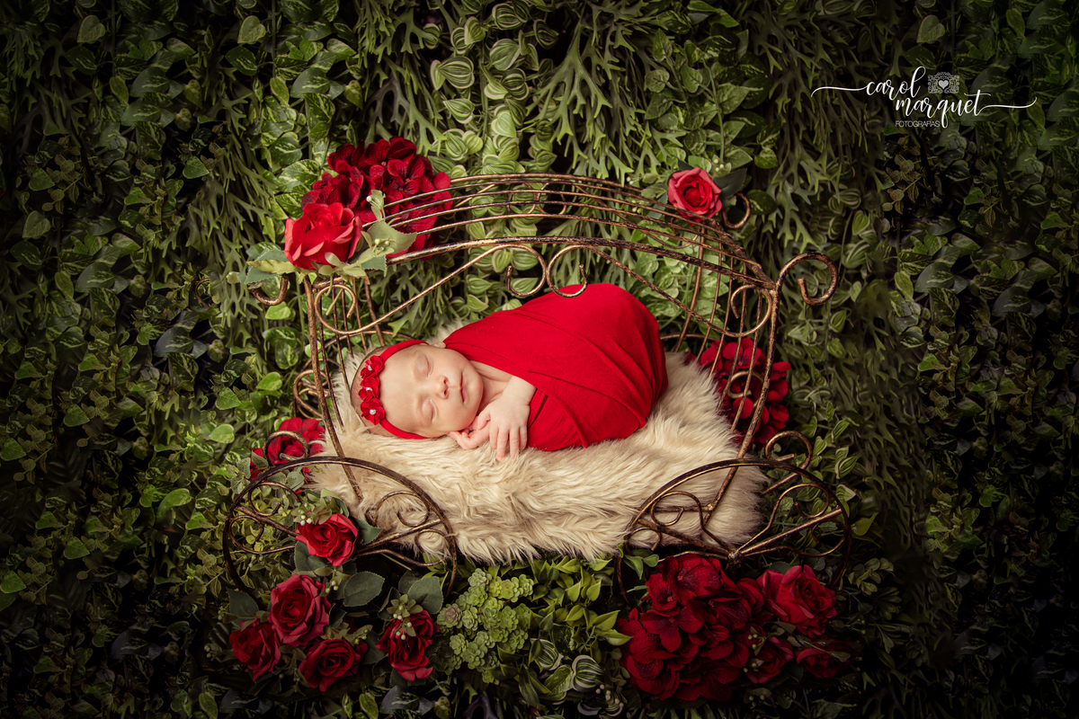 newborn recém nascido bebê neném flores jardim girassol rosas princesa irmã irmão família fotografia Niterói RJ