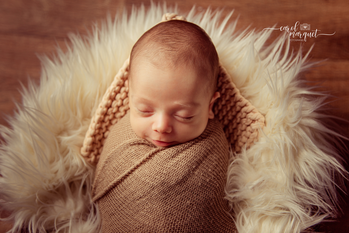 newborn recém nascido bebê neném fotografia retrato foto Niterói Rio de Janeiro príncipe floresta plantas folhas amigurumi leão raposa urso ovelha família infantil
