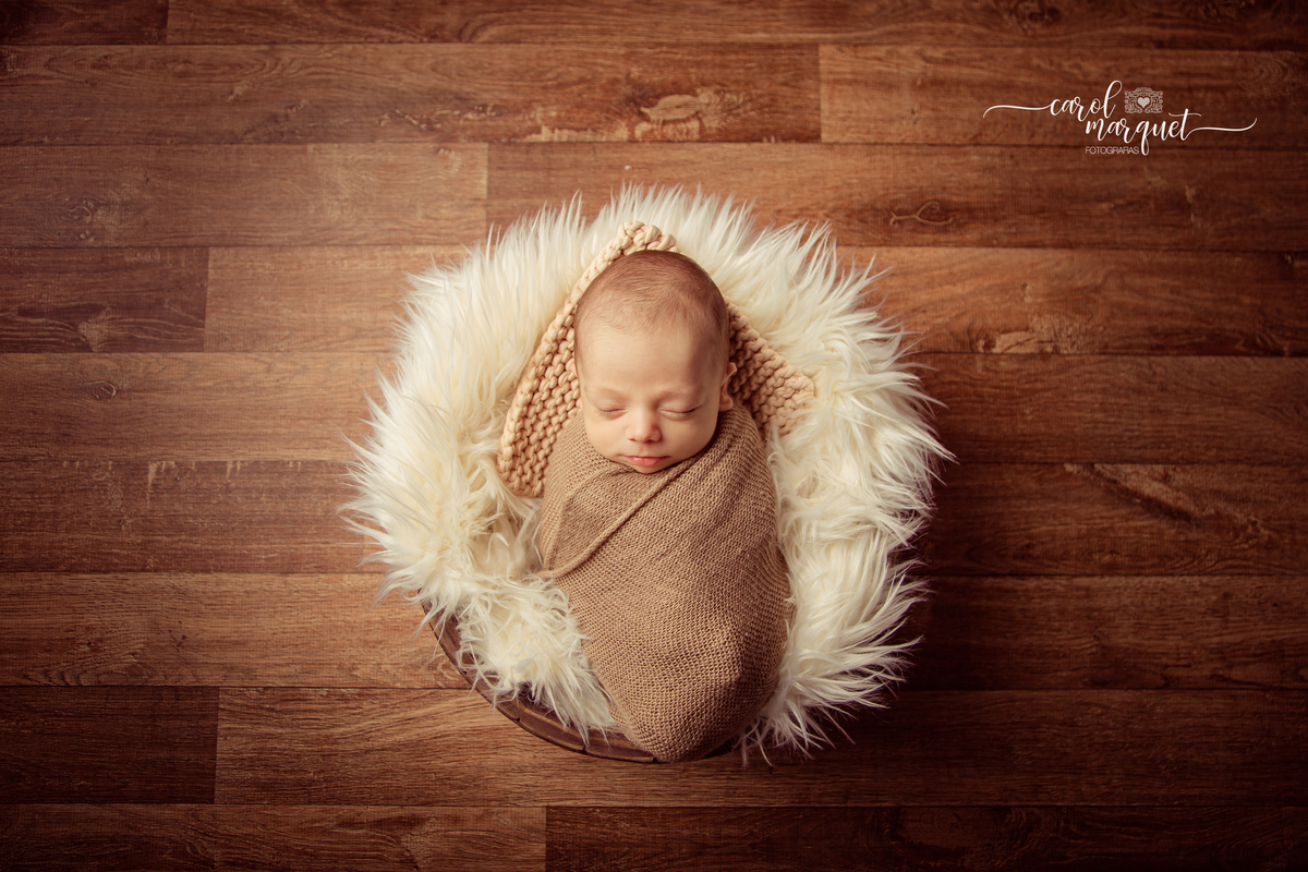 newborn recém nascido bebê neném fotografia retrato foto Niterói Rio de Janeiro príncipe floresta plantas folhas amigurumi leão raposa urso ovelha família infantil