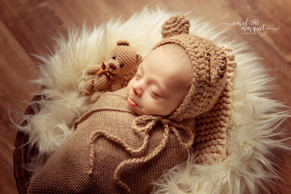 newborn recém nascido bebê neném fotografia retrato foto Niterói Rio de Janeiro príncipe floresta plantas folhas amigurumi leão raposa urso ovelha família infantil