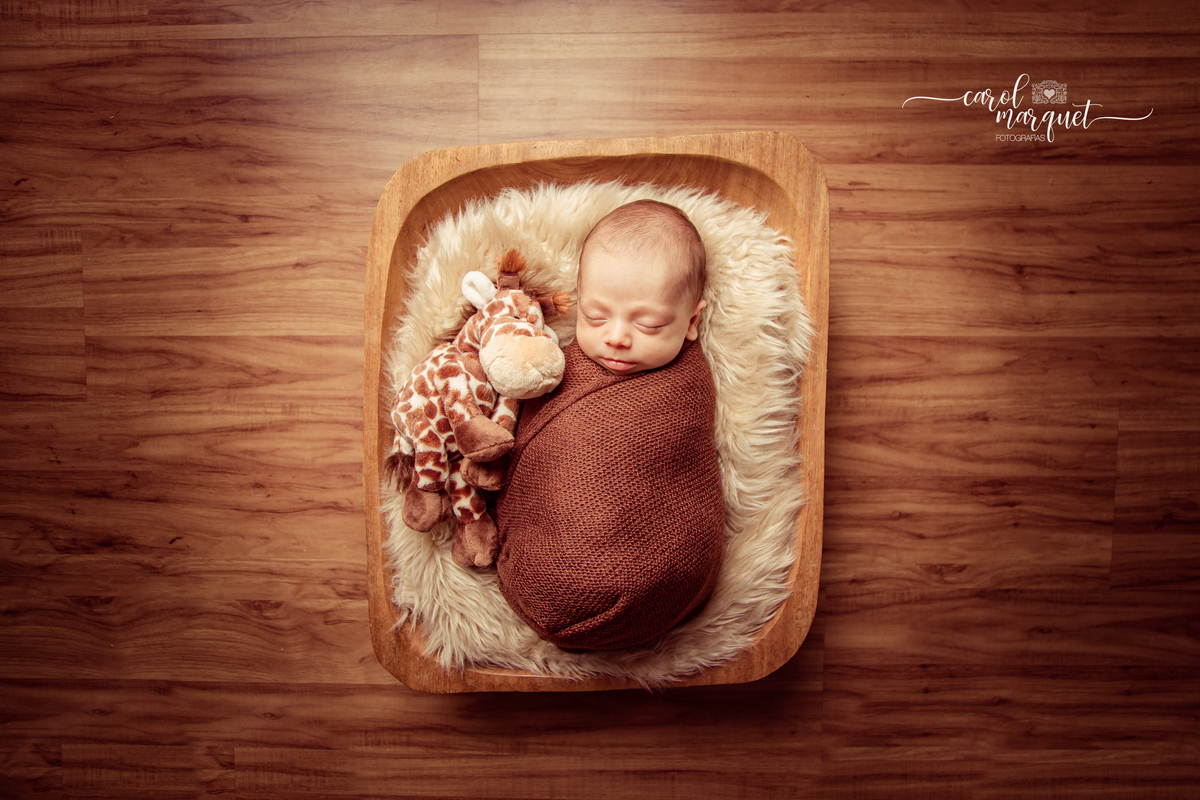 newborn recém nascido bebê neném fotografia retrato foto Niterói Rio de Janeiro príncipe floresta plantas folhas amigurumi leão raposa urso ovelha família infantil