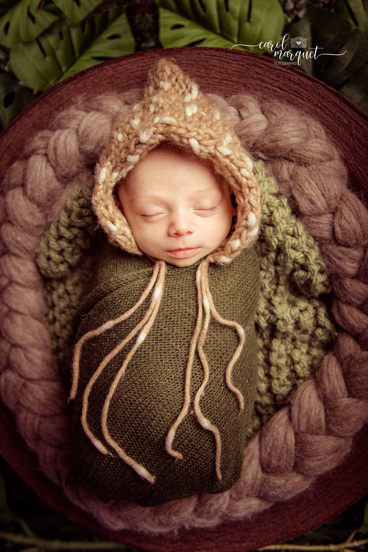 newborn recém nascido bebê neném fotografia retrato foto Niterói Rio de Janeiro príncipe floresta plantas folhas amigurumi leão raposa urso ovelha família infantil