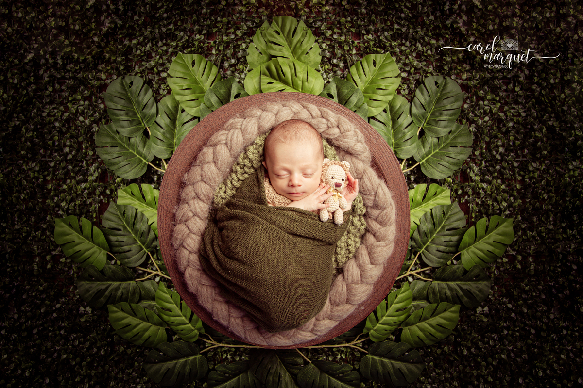 newborn recém nascido bebê neném fotografia retrato foto Niterói Rio de Janeiro príncipe floresta plantas folhas amigurumi leão raposa urso ovelha família infantil