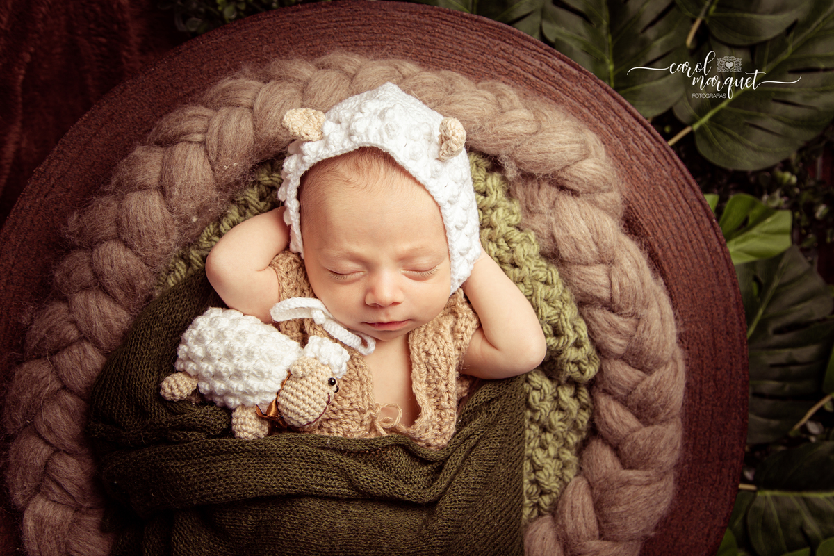 newborn recém nascido bebê neném fotografia retrato foto Niterói Rio de Janeiro príncipe floresta plantas folhas amigurumi leão raposa urso ovelha família infantil