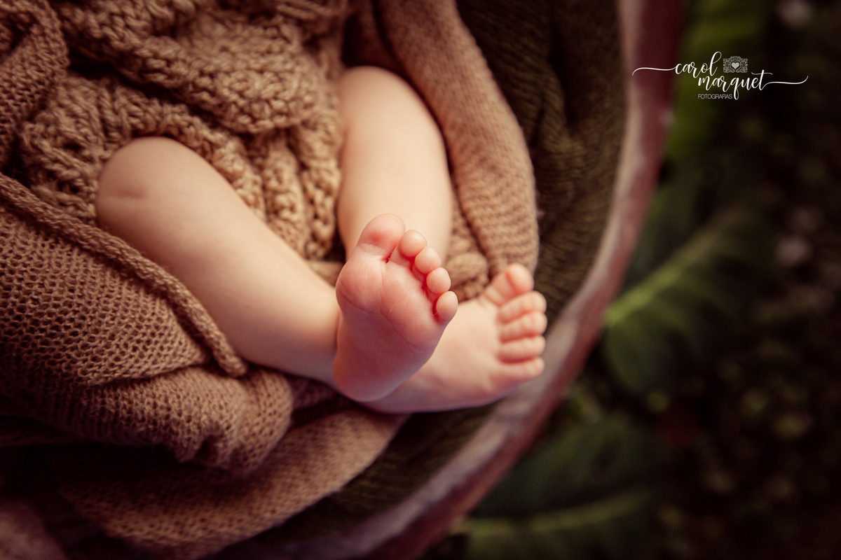 newborn recém nascido bebê neném fotografia retrato foto Niterói Rio de Janeiro príncipe floresta plantas folhas amigurumi leão raposa urso ovelha família infantil
