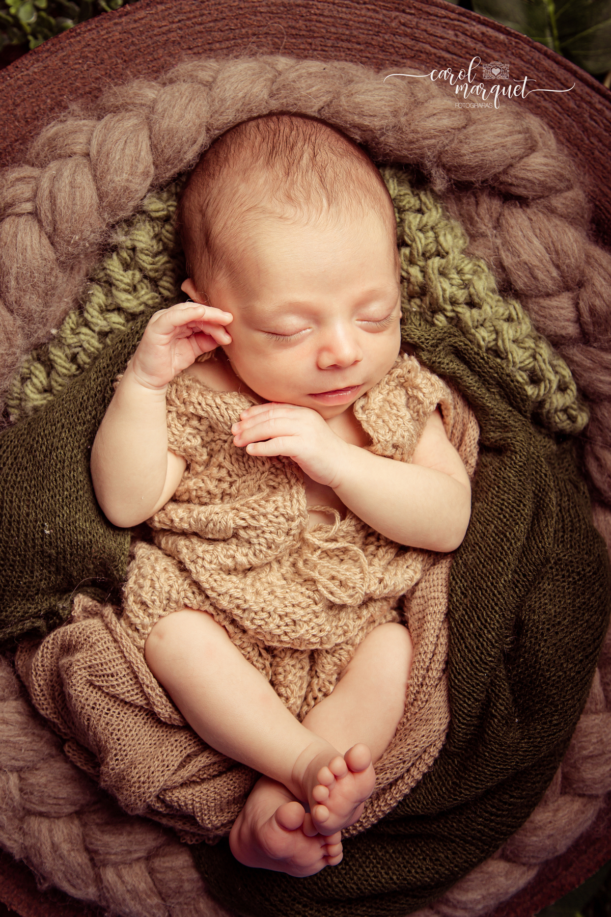 newborn recém nascido bebê neném fotografia retrato foto Niterói Rio de Janeiro príncipe floresta plantas folhas amigurumi leão raposa urso ovelha família infantil