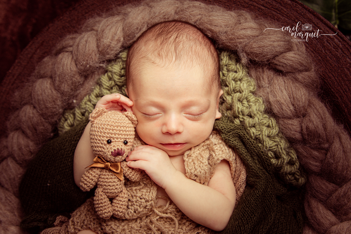 newborn recém nascido bebê neném fotografia retrato foto Niterói Rio de Janeiro príncipe floresta plantas folhas amigurumi leão raposa urso ovelha família infantil