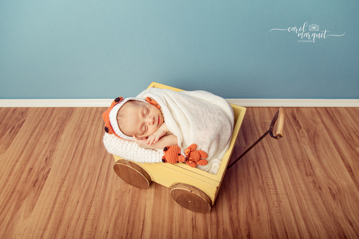 newborn recém nascido bebê neném fotografia retrato foto Niterói Rio de Janeiro príncipe floresta plantas folhas amigurumi leão raposa urso ovelha família infantil