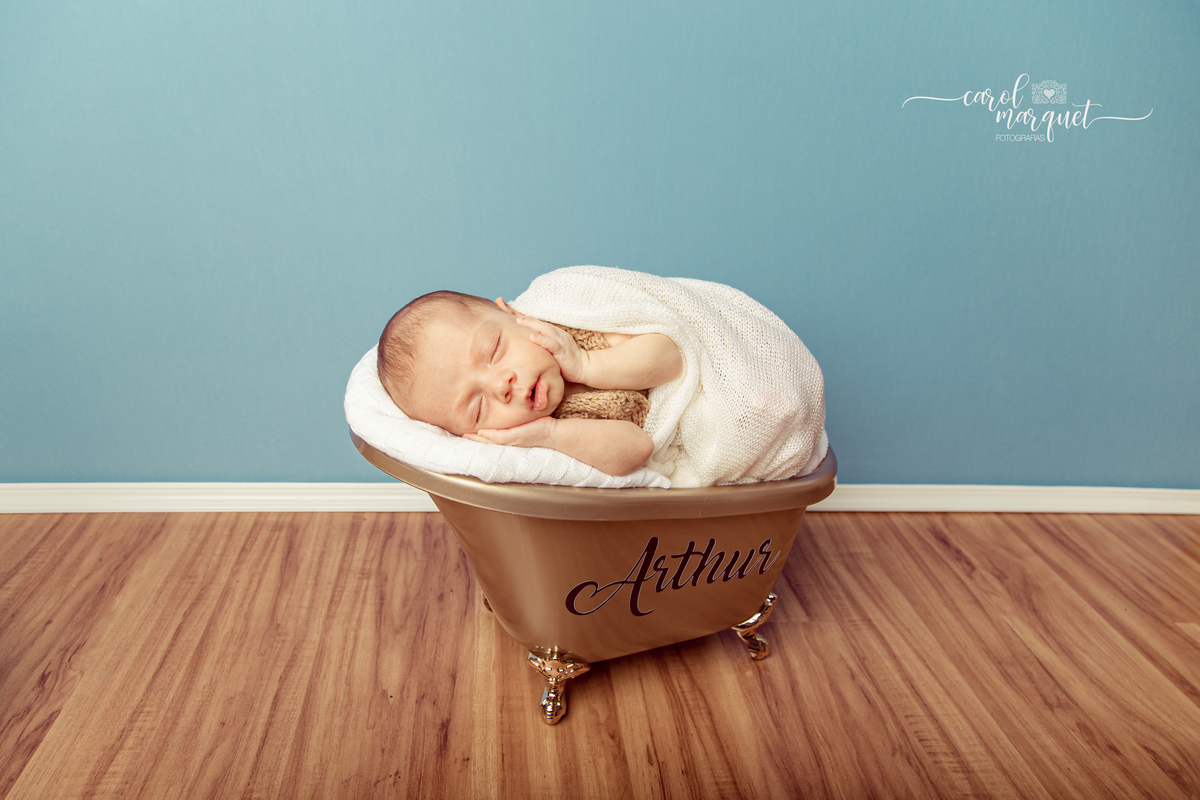newborn recém nascido bebê neném fotografia retrato foto Niterói Rio de Janeiro príncipe floresta plantas folhas amigurumi leão raposa urso ovelha família infantil