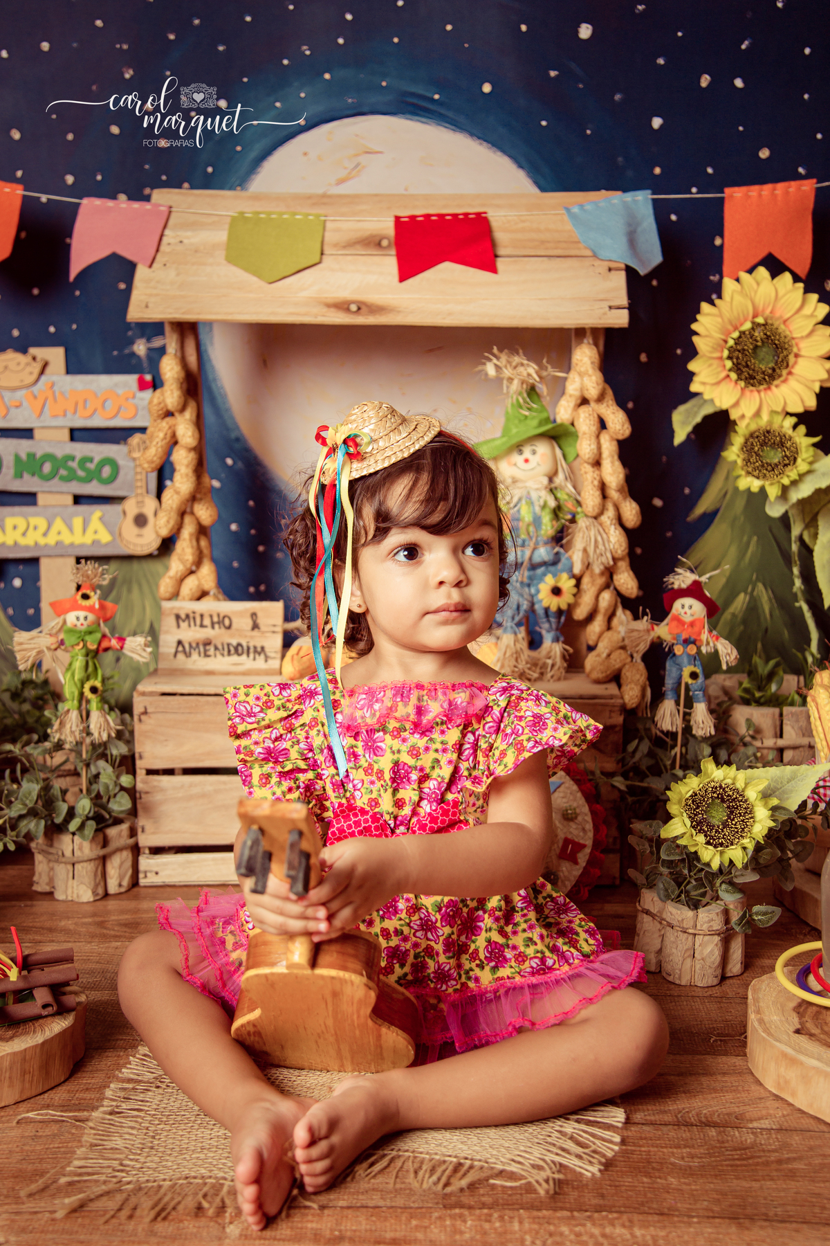 aniversário bita bolas mundo bita balão flor floresta jardim arraiá festa junina são joão Niterói Rio de Janeiro 
