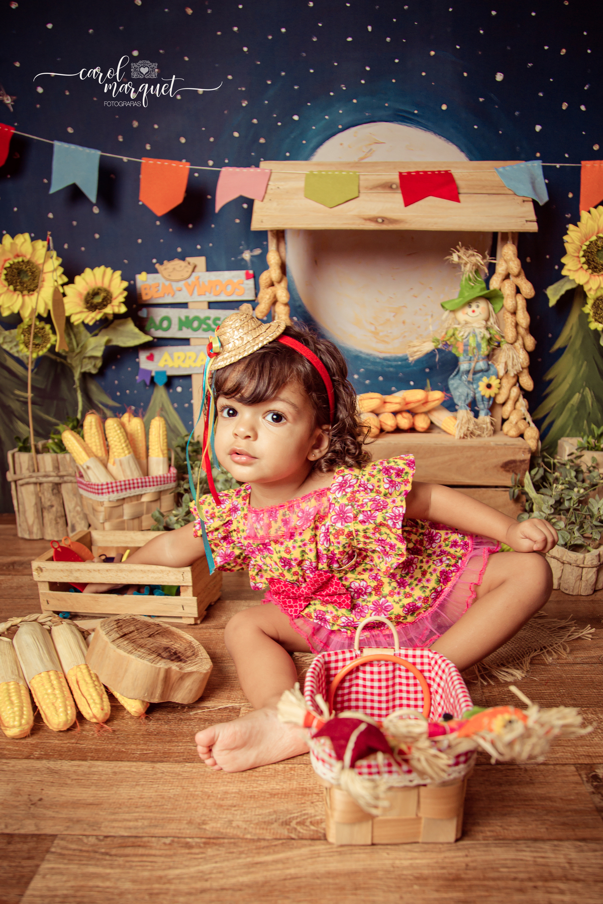 aniversário bita bolas mundo bita balão flor floresta jardim arraiá festa junina são joão Niterói Rio de Janeiro 