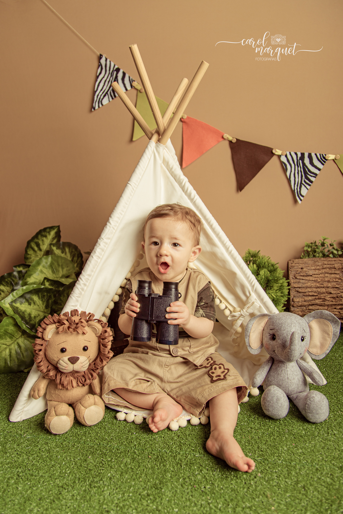 safari floresta leão elefante feltro acompanhamento mensal trimestral príncipe menino ensaio fotográfico Niterói Rio de Janeiro Itaipu padeiro boulanger pão família