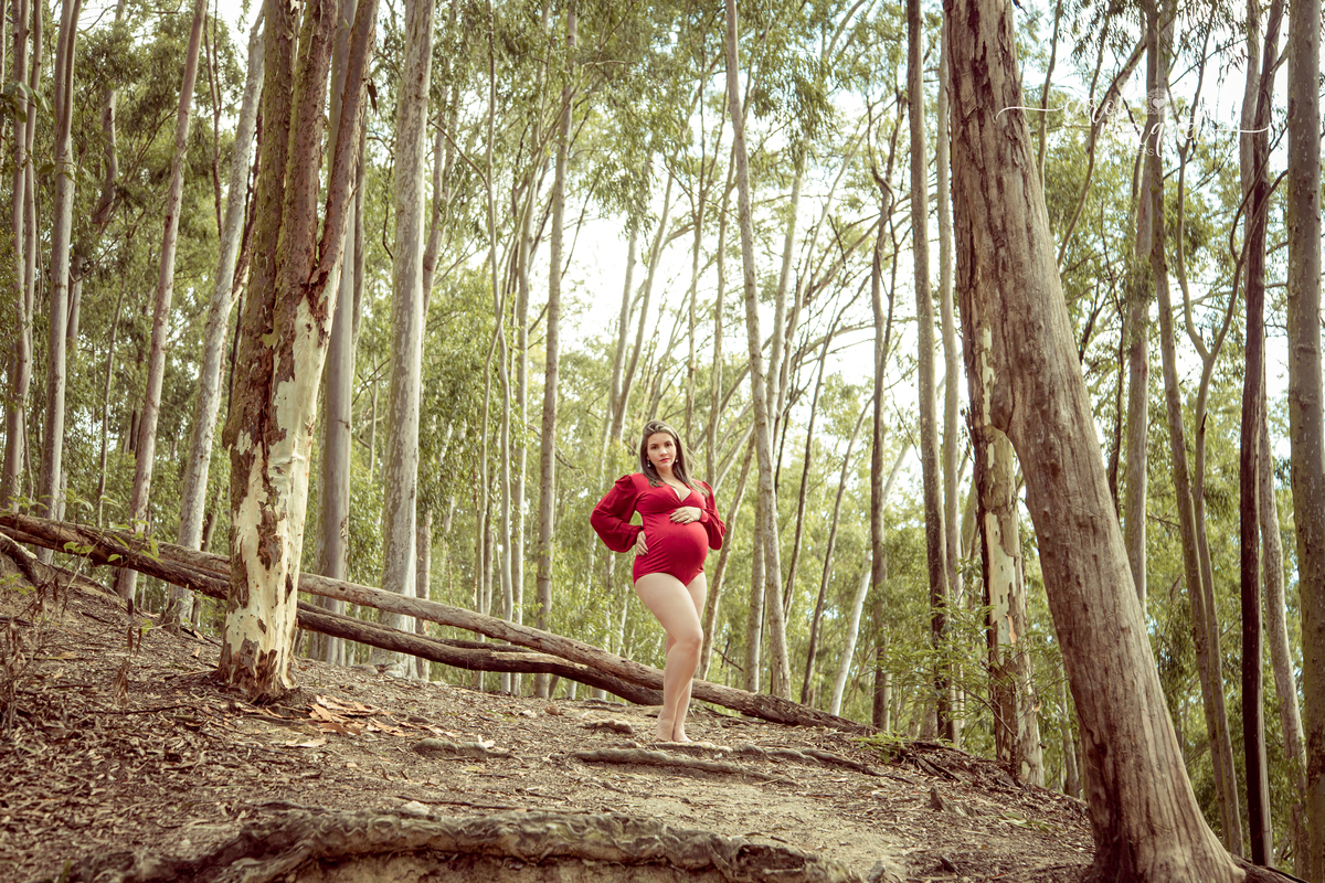 gestação gestante gravidez doce espera Niterói princesa família bebê ensaio fotográfico