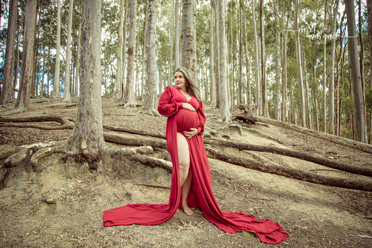 gestação gestante gravidez doce espera Niterói princesa família bebê ensaio fotográfico