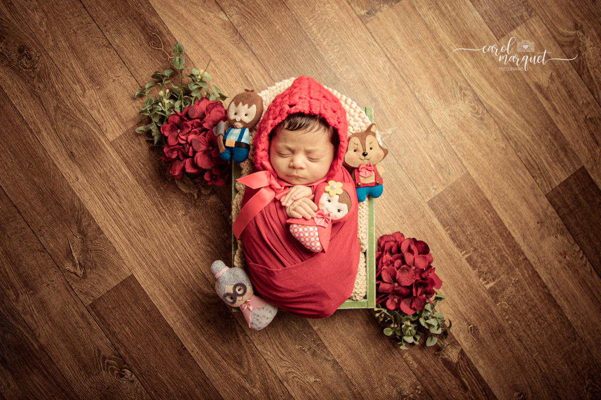 newborn recém nascido Niterói Rio de Janeiro princesa irmãs família fotografia retrato ensaio fotográfico chapeuzinho

