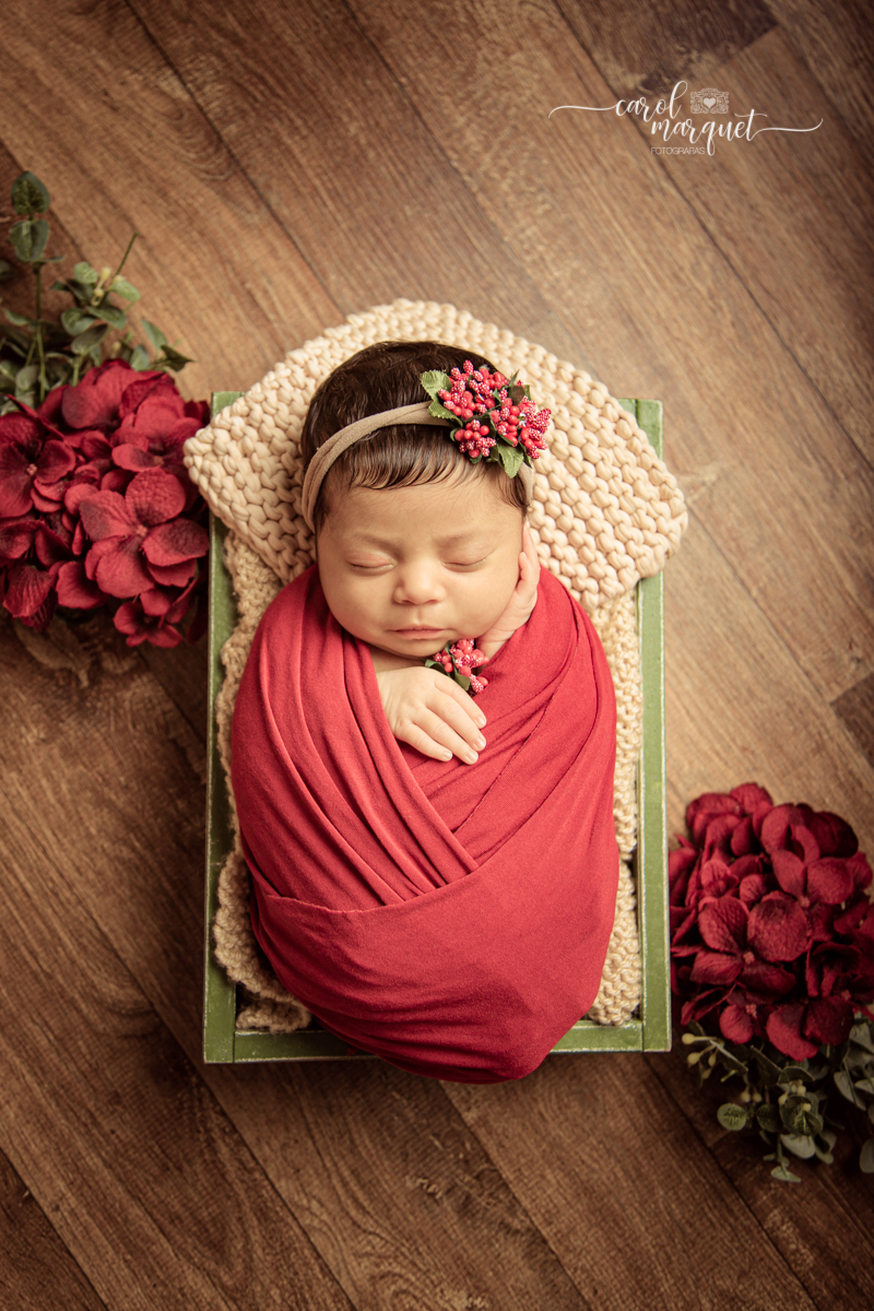 newborn recém nascido Niterói Rio de Janeiro princesa irmãs família fotografia retrato ensaio fotográfico