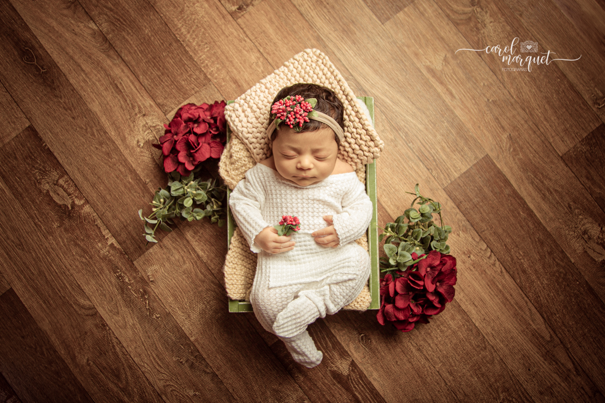 newborn recém nascido Niterói Rio de Janeiro princesa irmãs família fotografia retrato ensaio fotográfico