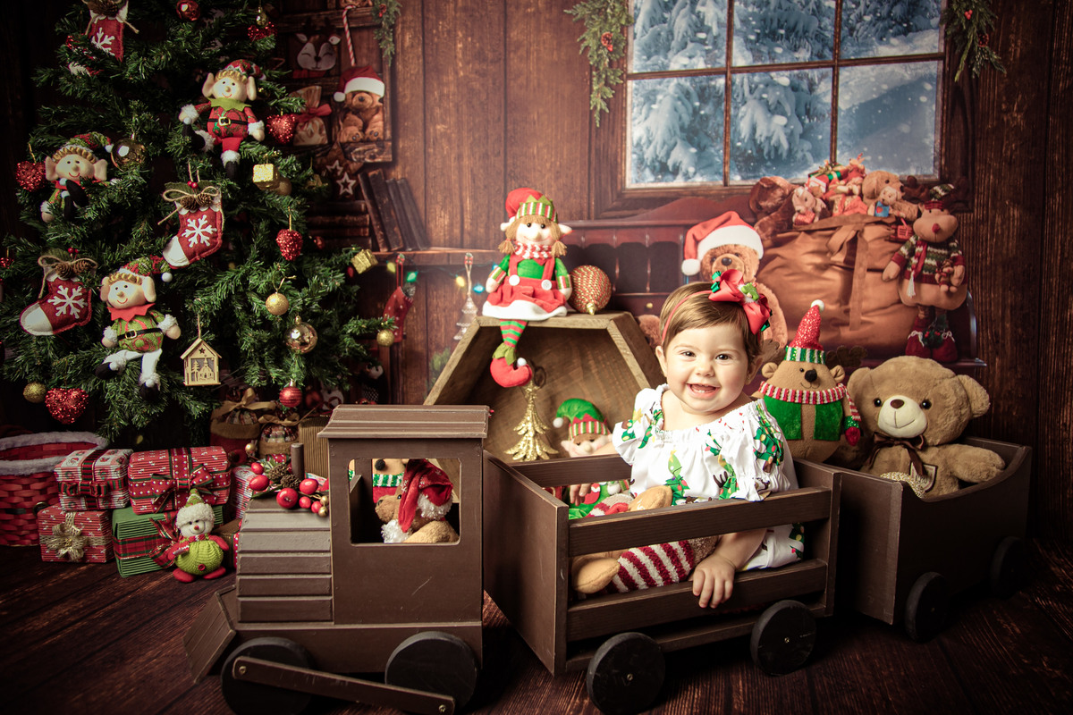 12 meses acompanhamento trimestral joão e maria doces natal flores floresta jardim bebê Niterói Rio de Janeiro fotografia retrato