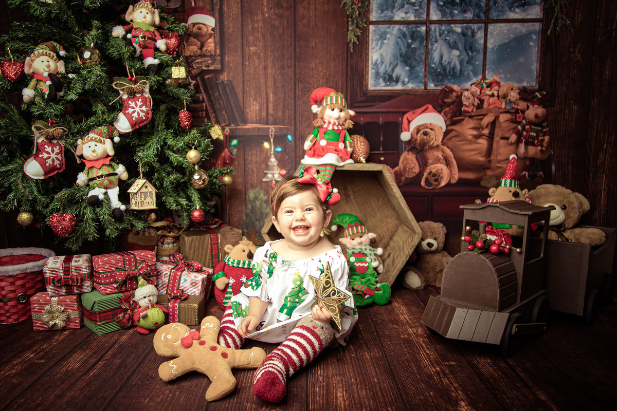 12 meses acompanhamento trimestral joão e maria doces natal flores floresta jardim bebê Niterói Rio de Janeiro fotografia retrato