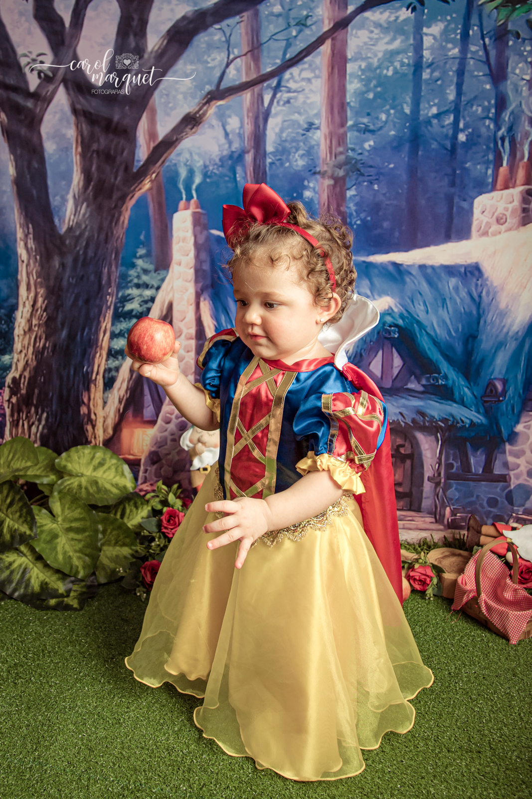 trimestral trimestre ensaio fotográfico fotografia retrato branca de neve 7 anões príncipe princesa gêmeos