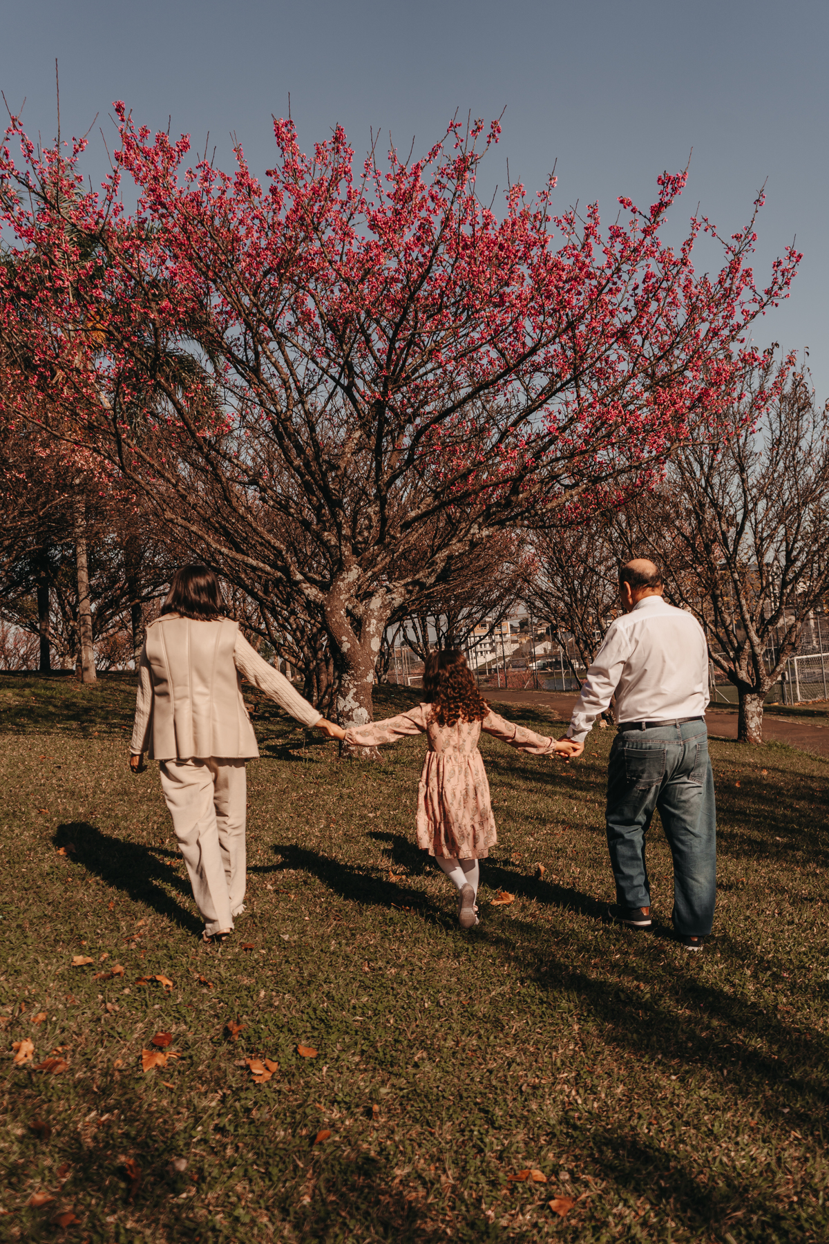ensaio nas cerejeiras guarapuava