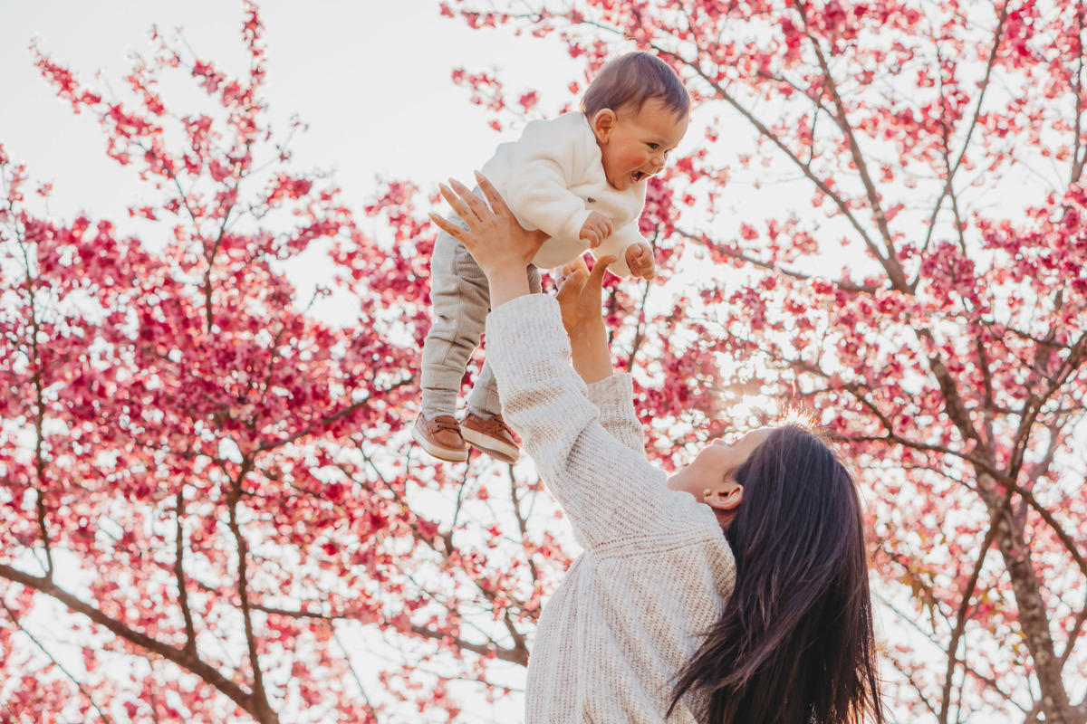 Ensaio nas cerejeiras