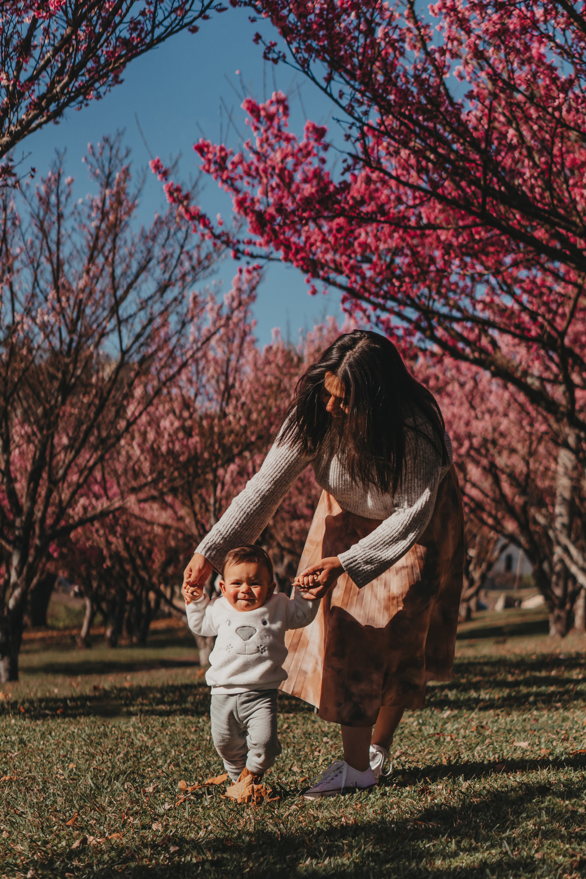 Ensaio nas cerejeiras