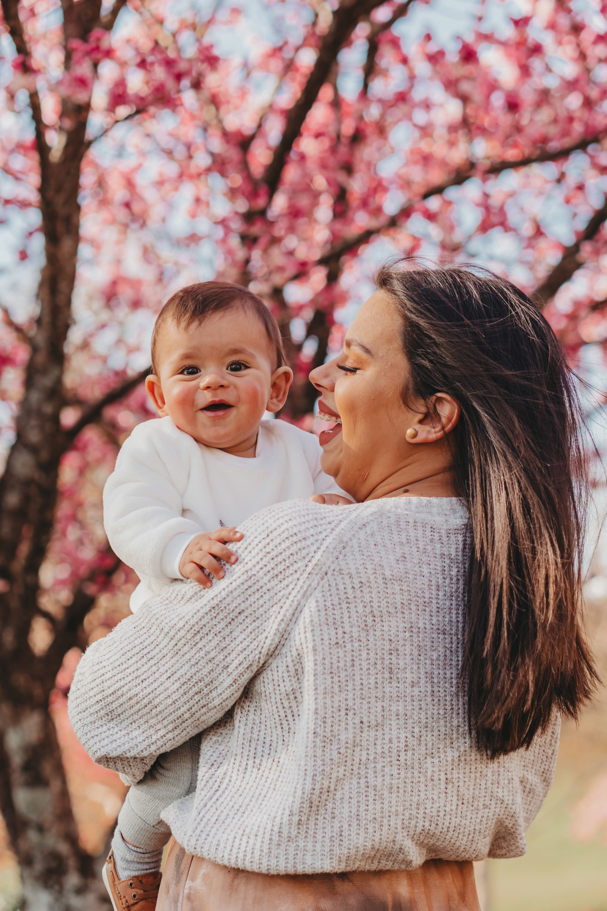 Ensaio nas cerejeiras
