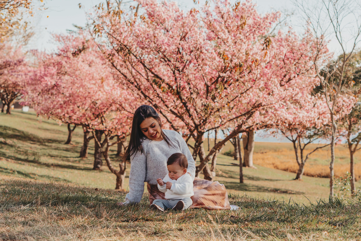 Ensaio nas cerejeiras