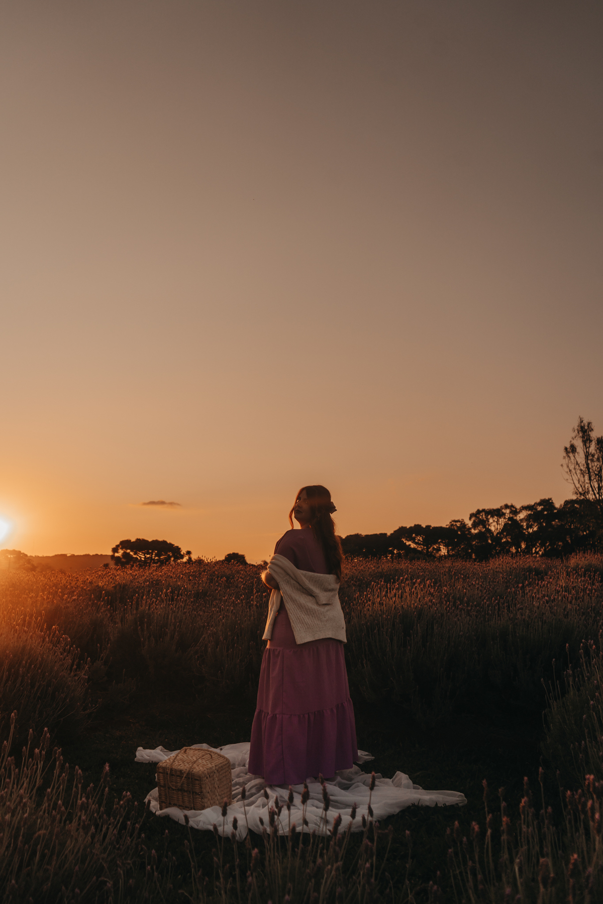 Ensaio feminino na lavanda
