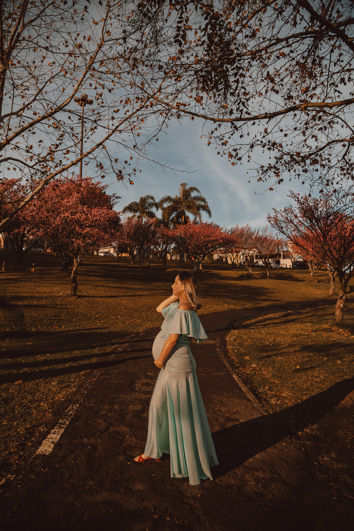 fotos gestante na natureza