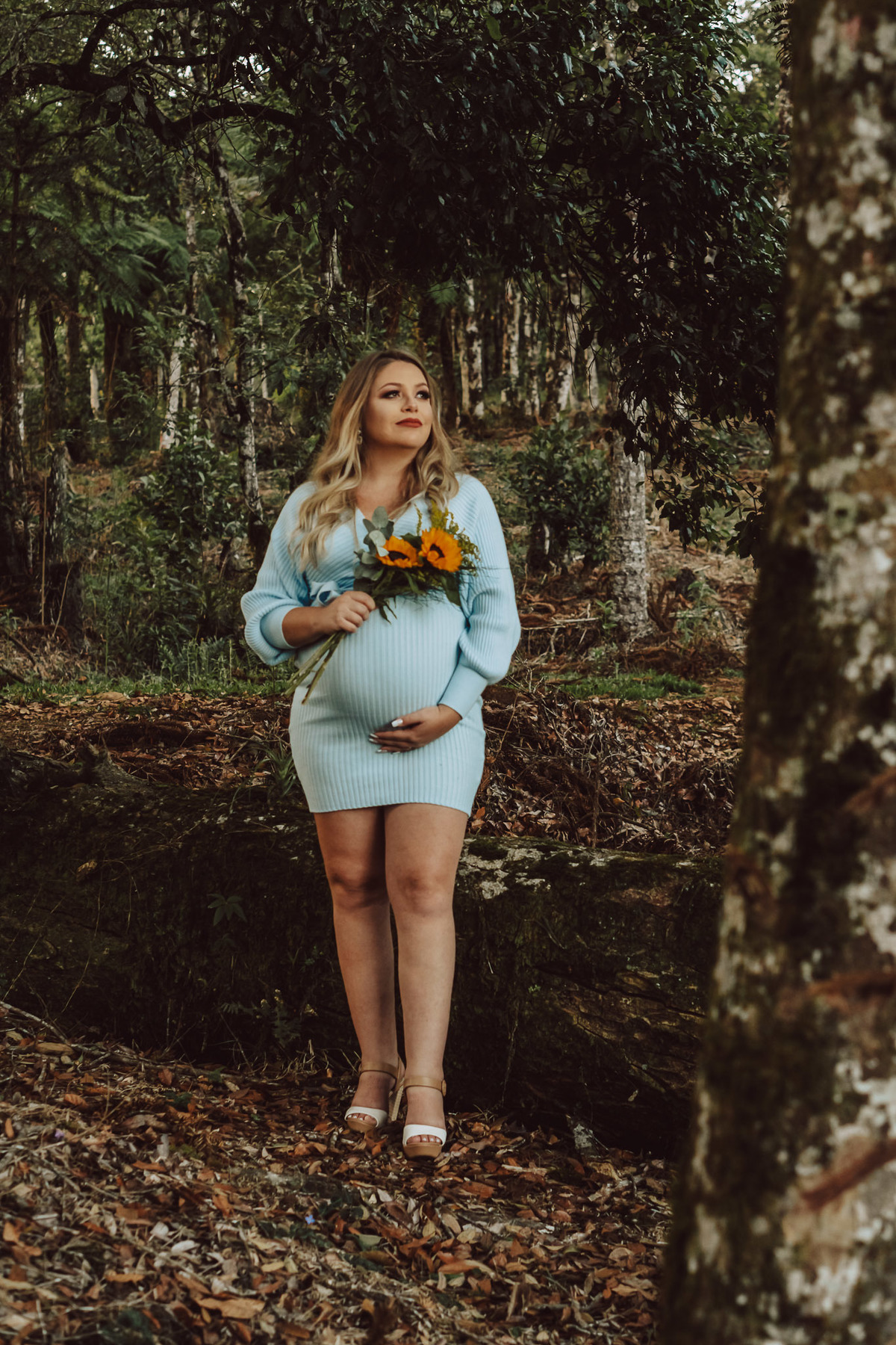 fotos gestante na natureza