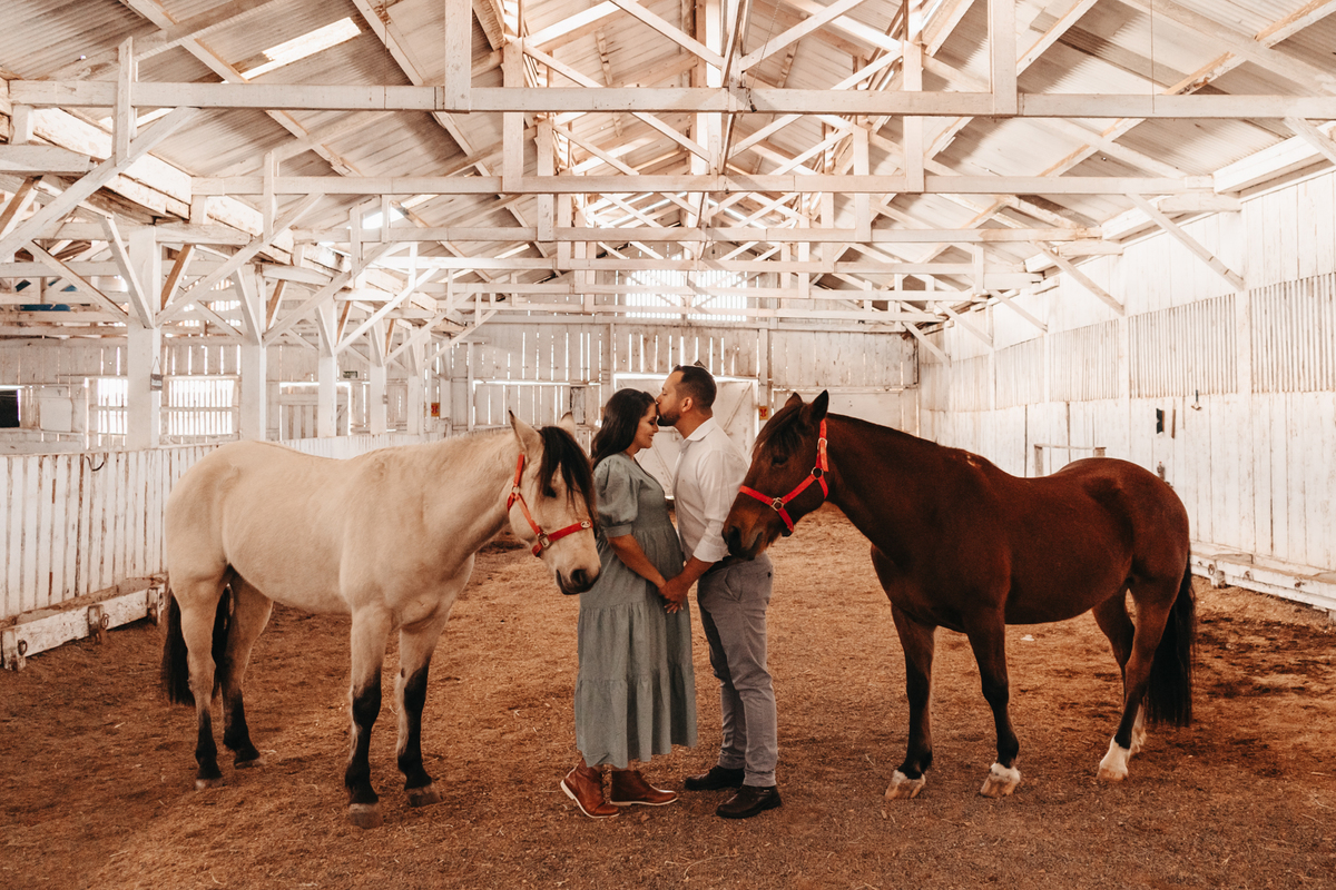 ensaio gestante cavalo