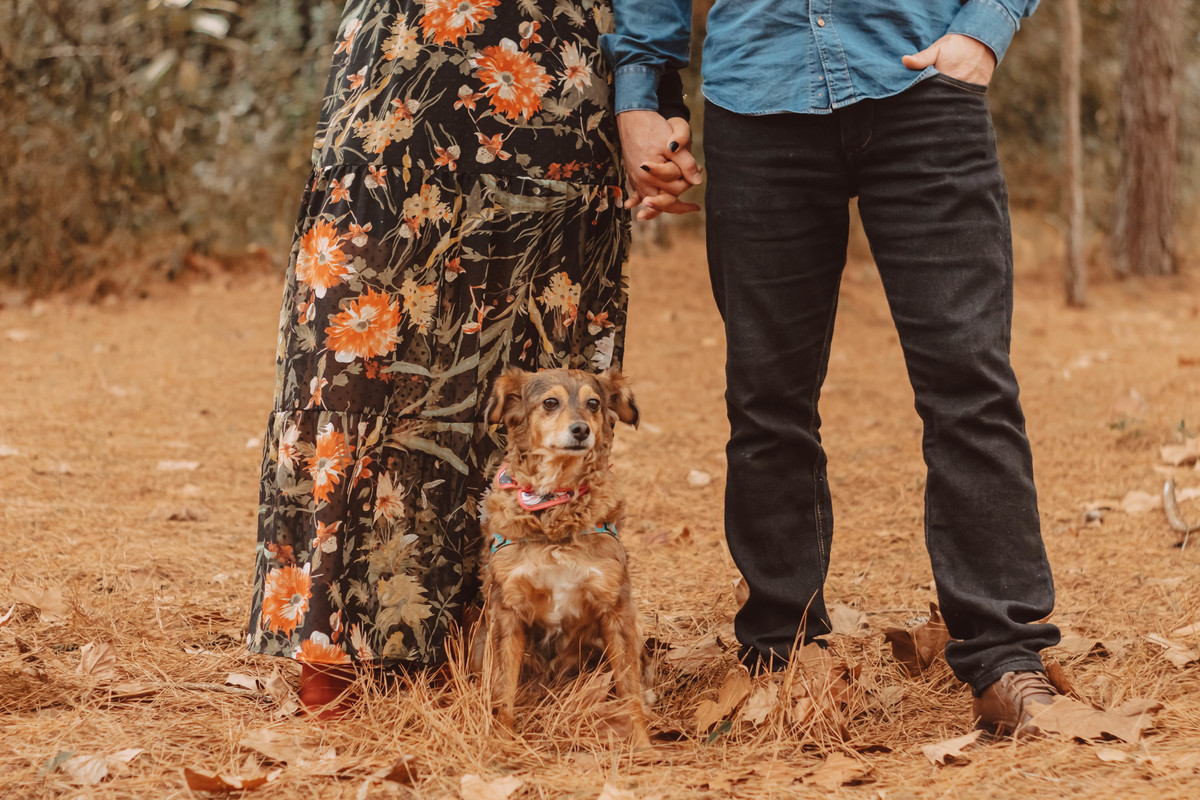 Ensaio família feito em um parque