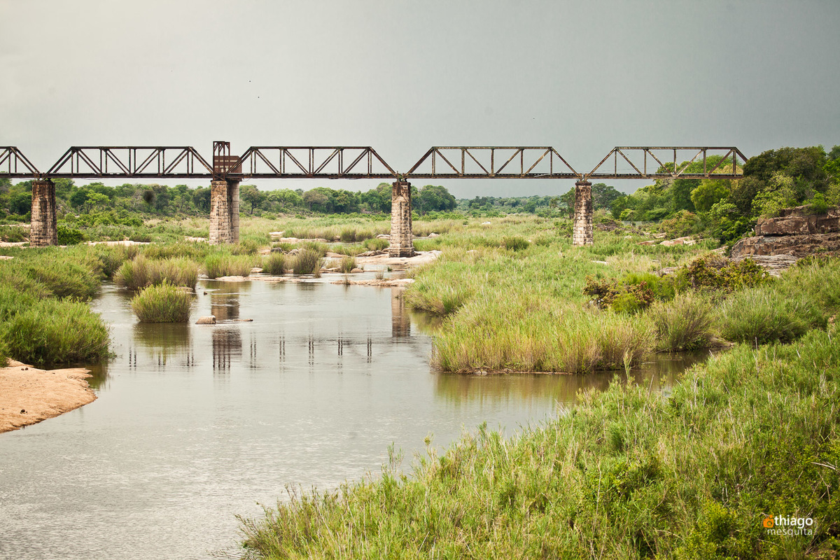 Safari South Africa Kruger Park