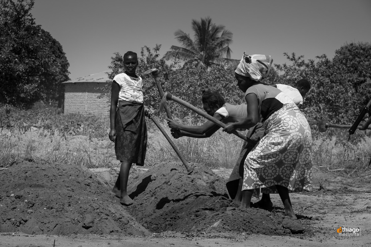 Mulheres trabalhando na machamba