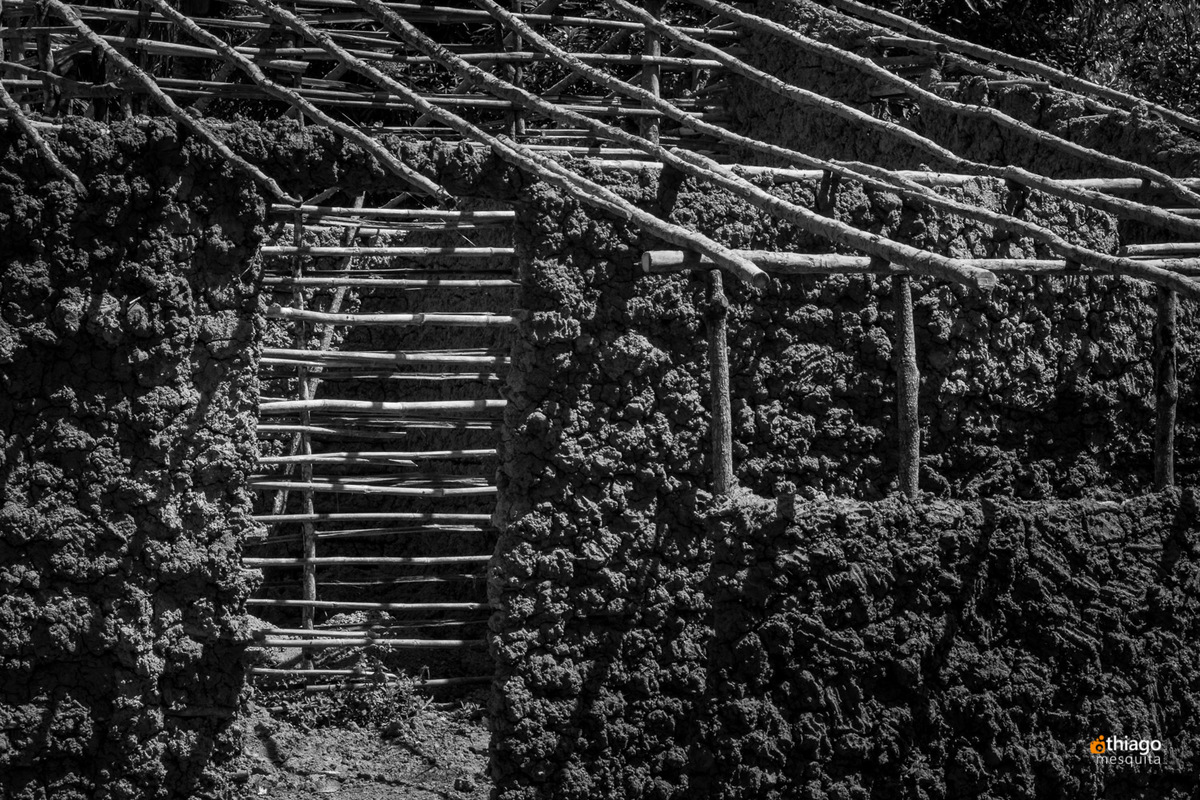 ONG Missão áfrica solidariedade Sustentável