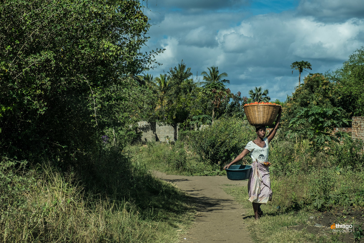 ONG Missão áfrica solidariedade Sustentável